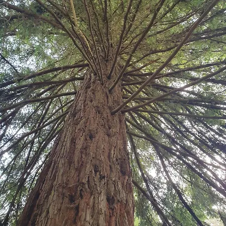 Rum i privatbostad Cintra