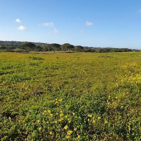 Cintra Privatunterkunft Sintra