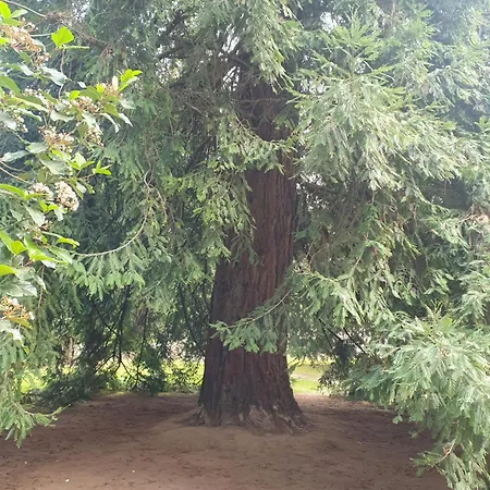 Kwatera prywatna Cintra Sintra