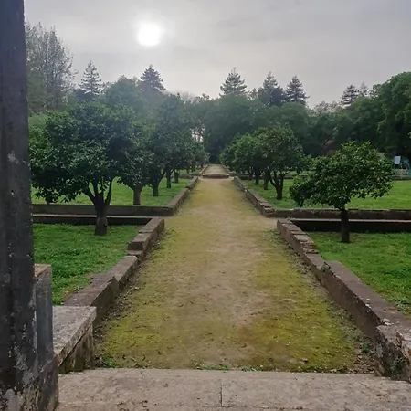 Cintra