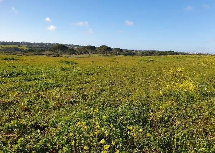 Cintra Δωμάτια σε οικογενειακή κατοικία Σίντρα