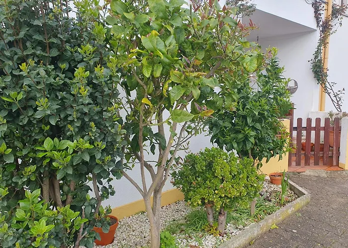 Cintra Δωμάτια σε οικογενειακή κατοικία Σίντρα