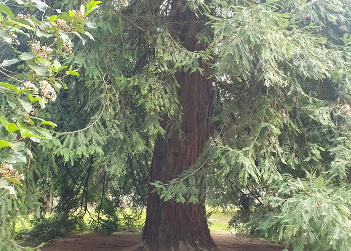 Δωμάτια σε οικογενειακή κατοικία Cintra Σίντρα